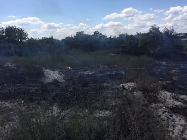 На одном из пляжей Татарбунарского района произошло возгорание сухой травы из-за выброшенного окурка