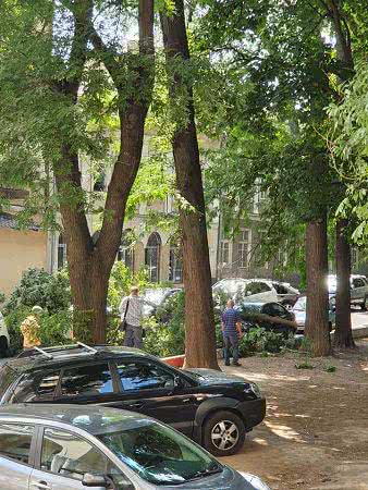 В сквере в центре Одессы огромная ветка упала и повредила припаркованные автомобили. Фото