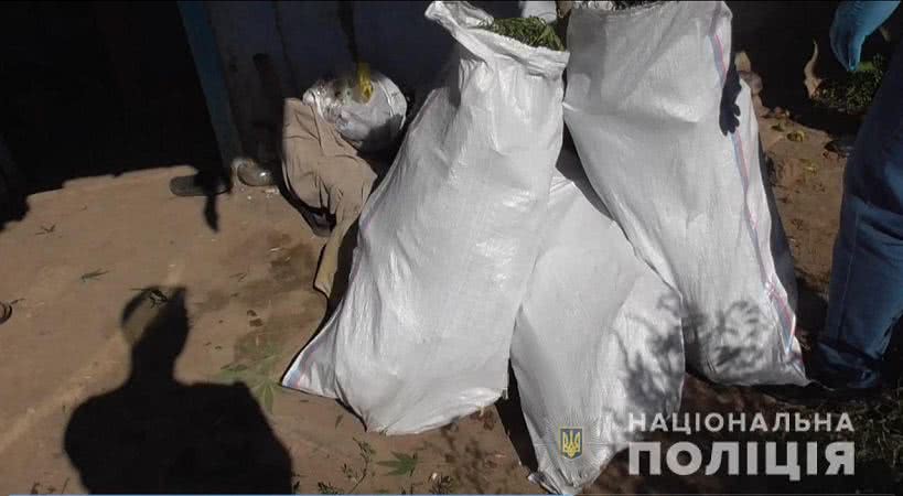 3 года ограничения свободы грозит жителю Одесской области за выращивание конопли на огороде. Фото