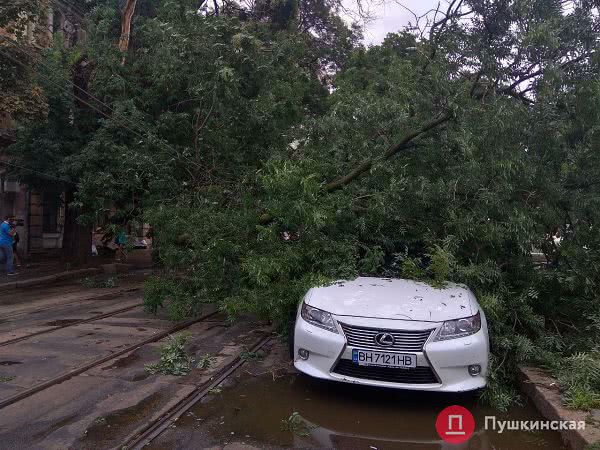 Из-за грозы в центре Одессы упала ветка, повредила Lexus и устроила «пробку» из трамваев. Фото