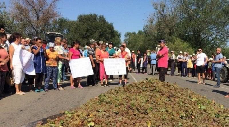 В Болградском районе виноградари провели акцию протеста, высыпав на дорогу гору винограда, который они не могут продать
