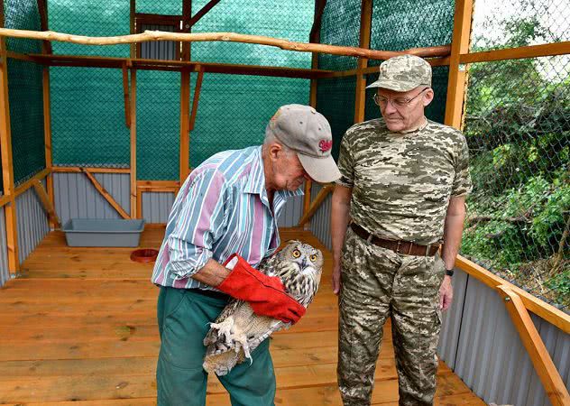 В Одеській області екологи намагаються повернути в дику природу «казкову сову»