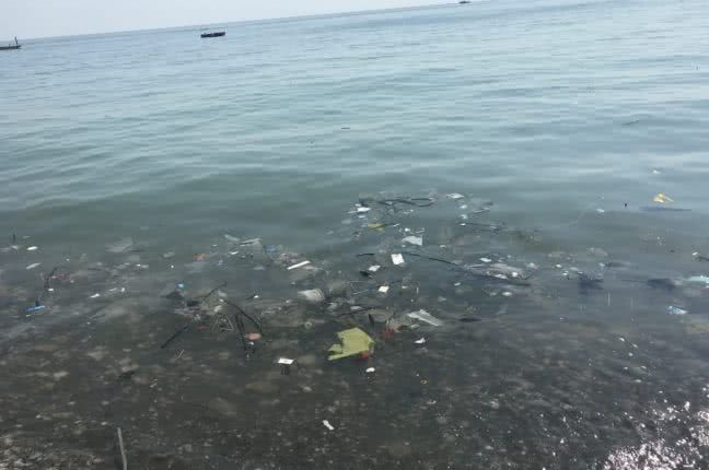 Черное море загрязнено в два раза больше, чем Средиземное