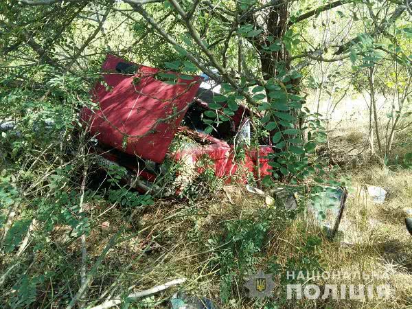 В Одесской области «ВАЗ» на скорости въехал в дерево: водитель скончался на месте