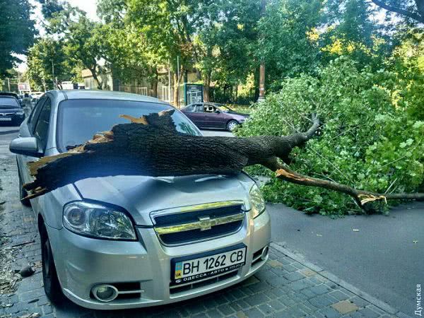 На Французском бульваре дерево упало на автомобиль, припаркованный на тротуаре