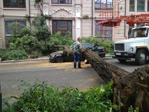 Возле Оперного театра дерево упало на автомобиль и на дом (ФОТО)