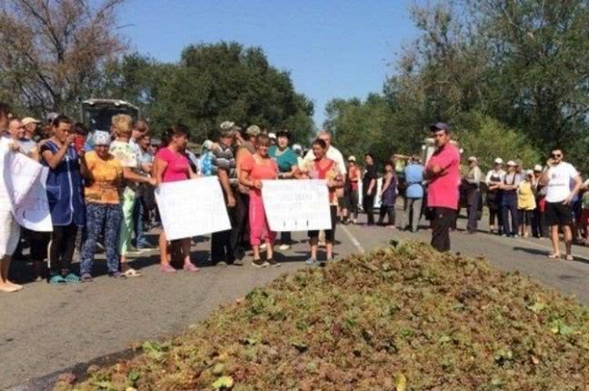 В Одесской области протестующие заблокировали дорогу горой винограда (ВИДЕО)