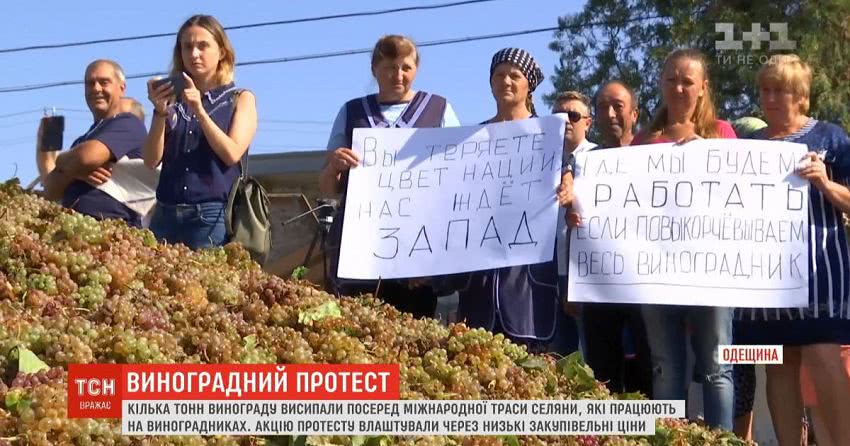 Селяни перекрили трасу Одеса — Болград через вкрай низькі закупівельні ціни на виноград