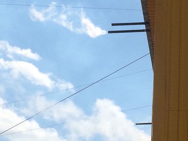 В Измаиле продемонстрировали производство рапсового масла и дали совет, где искать причины витающего над городом зловония