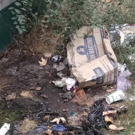 В Болграде стихийная свалка на одной из улиц города доставляет горожанам неудобства из-за страшной вони
