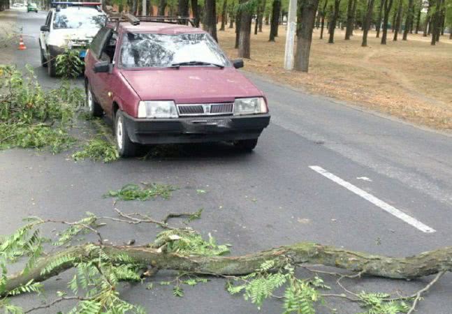 В Измаиле во время движения на автомобиль упала большая ветка