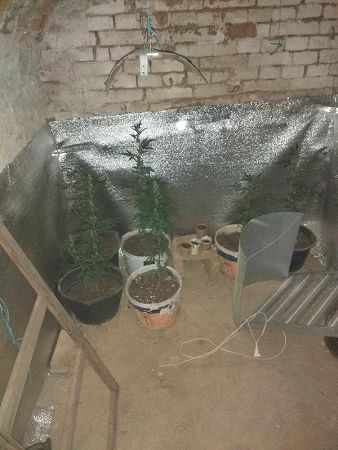 Спалился: во время пожара в Измаиле в подвале частного дома обнаружили наркоплантацию