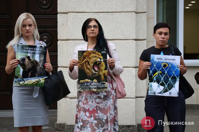 «Животные всю жизнь мучаются»: активисты и Госэкоинспекция требуют остановить работу одесского цирка