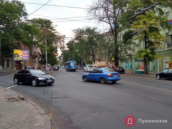 В Одессе упавшая на провода ветка парализовала движение трамваев. Фото