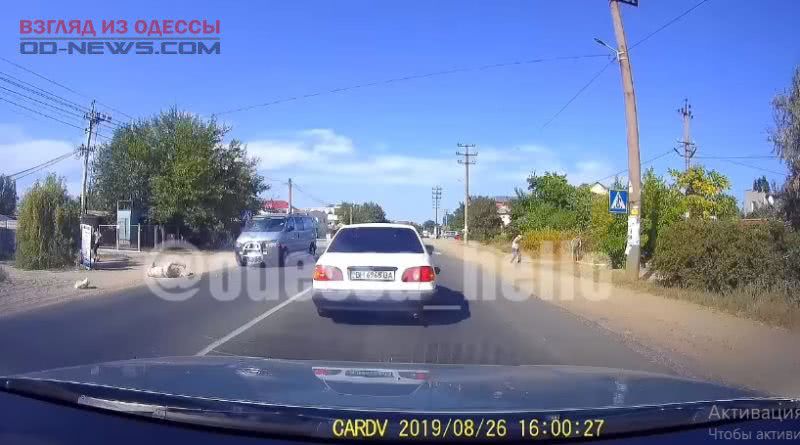 Мужчина, которого в Одесской области сбил микроавтобус, скончался
