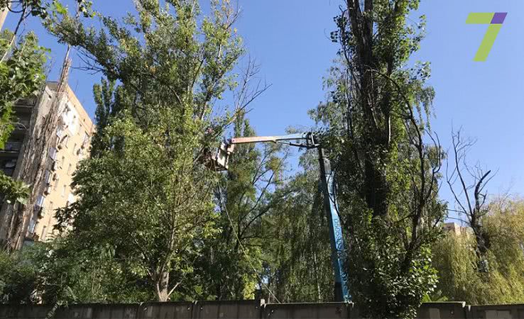 Застройщики уничтожают деревья в Киевском районе Одессы (фото)