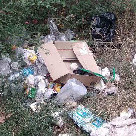 В Болграде стихийная свалка на одной из улиц города доставляет горожанам неудобства из-за страшной вони