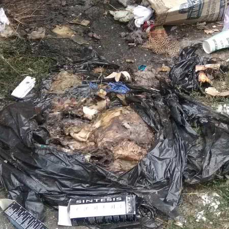В Болграде стихийная свалка на одной из улиц города доставляет горожанам неудобства из-за страшной вони