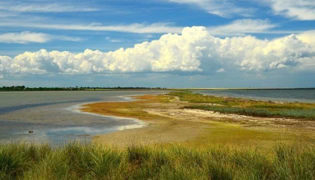 Прикордонники «кришують» браконьєрів в Тузловських лиманах — екологи