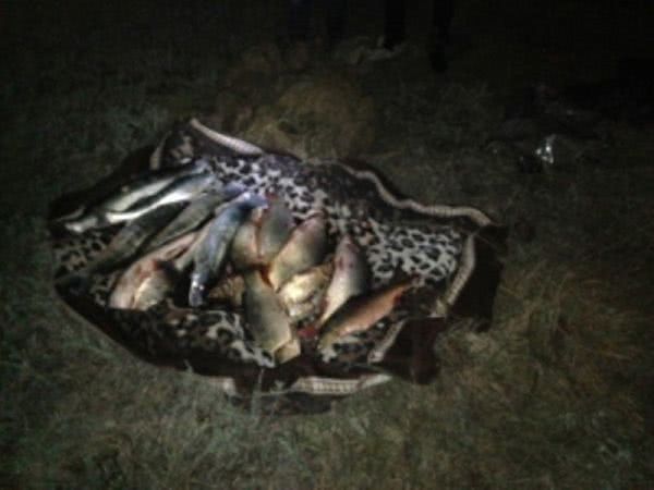 В Килийском районе на озере Сасык поймали браконьеров с уловом на 50 кг рыбы