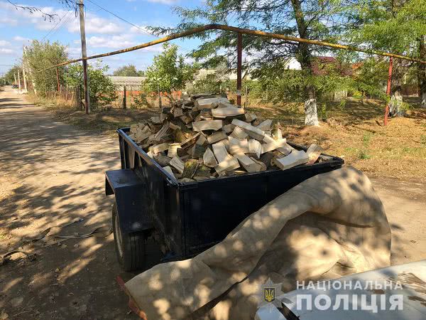 В Одесской области полиция перехватила партию незаконной древесины (фото)