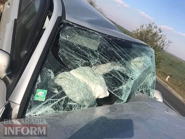 На трассе Одесса-Рени гражданин Болгарии за рулем Hyundai на крутом повороте залетел под фуру