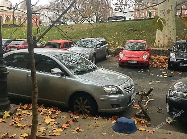 Возле Оперного театра ветка оставила вмятину на припаркованной Toyota (фото)