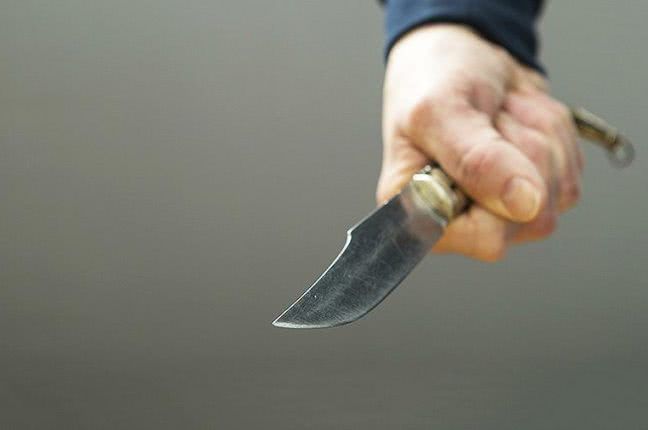 В Одесской области области подозреваемый в убийстве нелегал бросился на пограничника с ножом