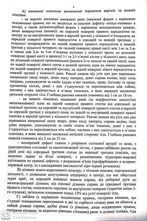 Официальные обвинения следствия: Шеремета убил АТОшник ради "величия арийской расы"