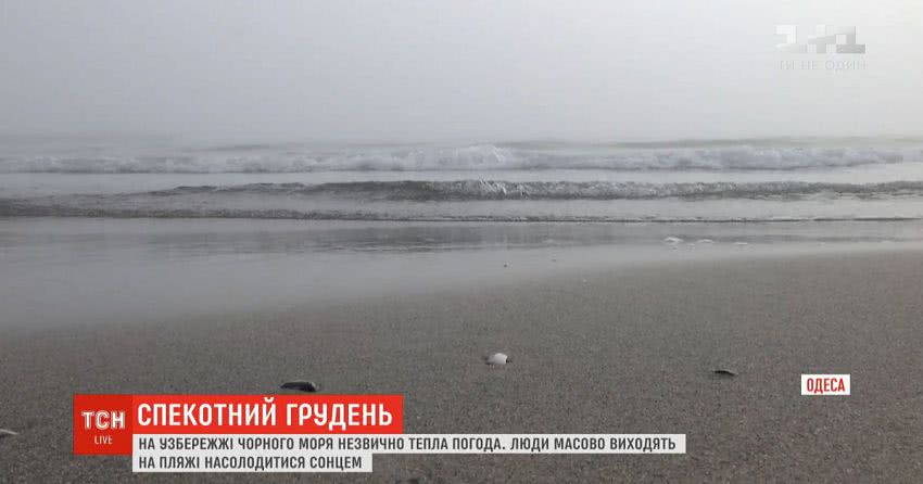 Весна у грудні: в деяких областях України температура повітря б’є рекорди