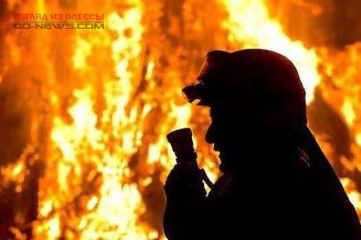 В Одесской области от огня спасли жилые дома