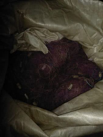 На границе Одесской области задержали браконьеров с большим уловом рыбы