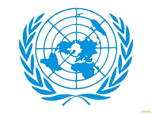 Законопроект о противодействии дезинформации нарушает права человека - ООН