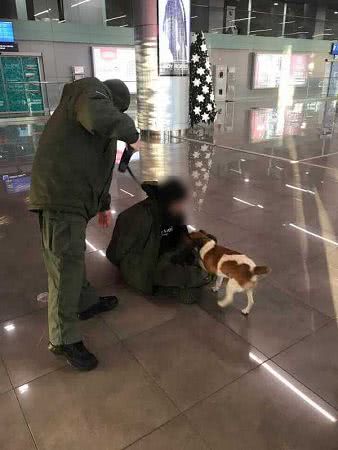 Прорывавшемуся в одесский аэропорт «минеру» предъявили обвинение, ему грозит шесть лет