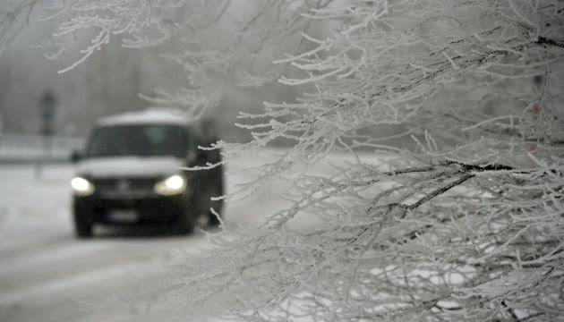 На Одещині внаслідок падіння дерев пошкоджені понад 100 автівок — ОДА