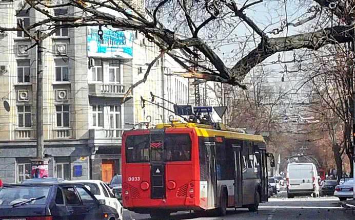 Одесские трамваи и троллейбусы остановились из-за падения деревьев