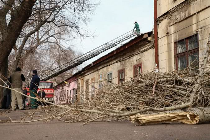 Штормовой циклон «Юля» повалил почти 200 деревьев в Одессе