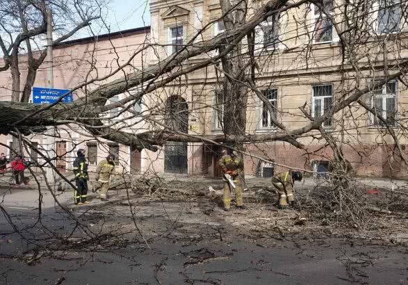 Негода в Одеській області: без світла 224 населені пункти, пошкоджено — понад 100 авто