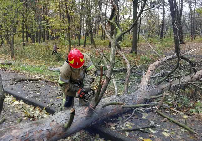 Ураган в Одесі: через повалені дерева паралізувало рух транспорту