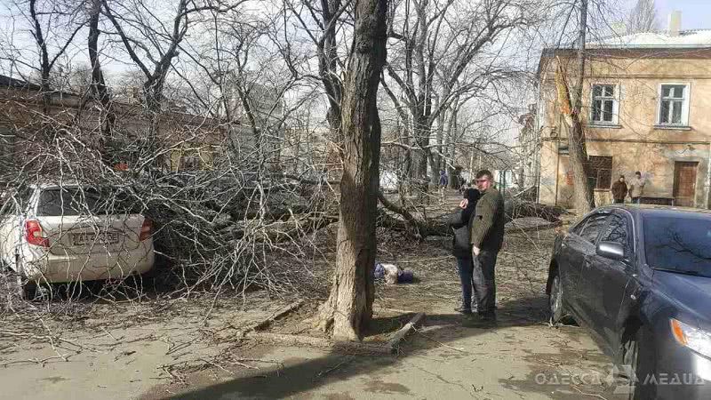 На Нежинской дерево убило женщину, а другая оказалась под завалами