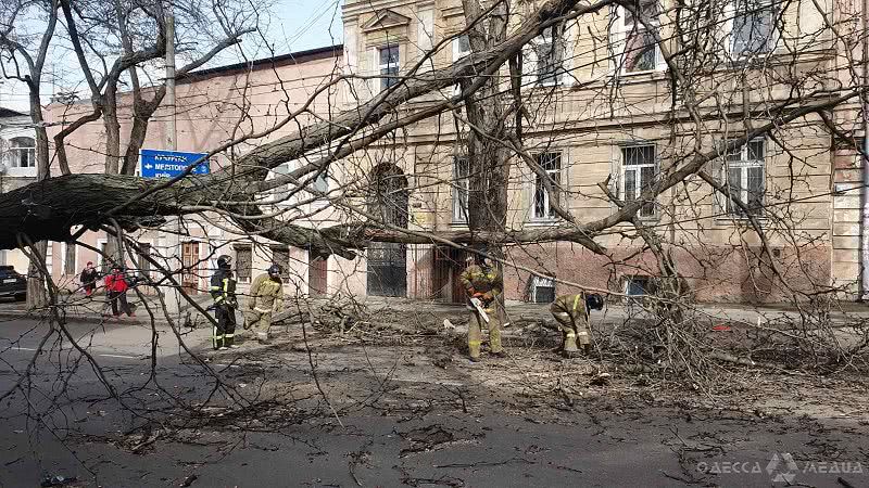 В Одессе и области ликвидируют последствия непогоды (фото)