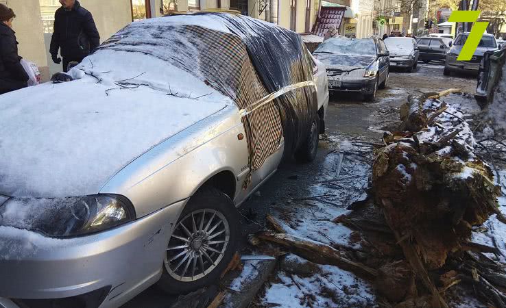 Упавшая ветка разбила два припаркованных автомобиля в Одессе (фото)