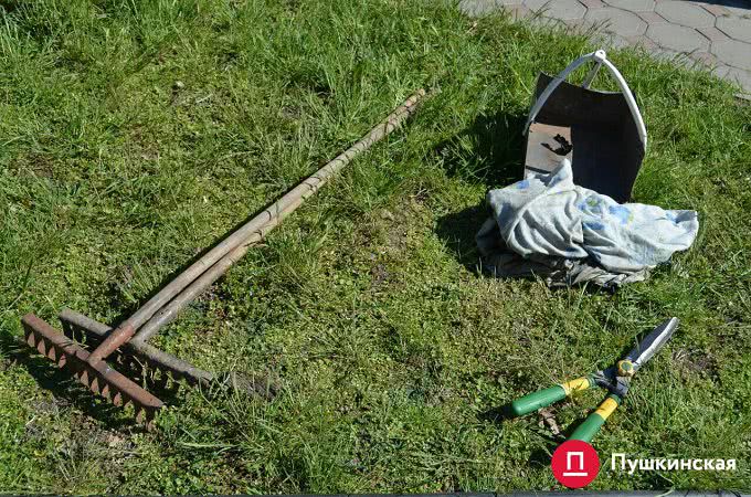 Весна: коммунальщики и активисты высадили в Одессе декоративные вишни. Фото