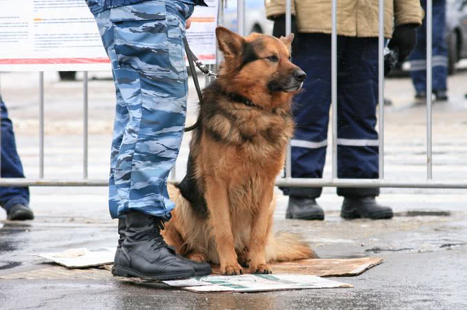 У Києві та Одесі «замінували» одразу декілька громадських місць