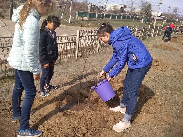 В ОТГ Белгород-Днестровского района кипит работа