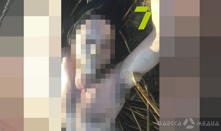 В Хаджибейском лимане нашли тело 29-летнего мужчины