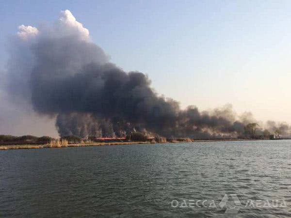 В Одесской области снова горит национальный парк (фото)