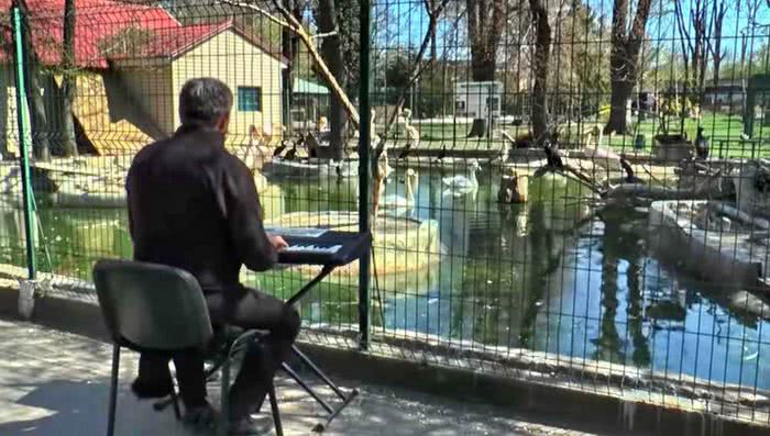 Директор Одесского зоопарка развлекает животных музыкой, чтобы они не скучали на карантине (видео)