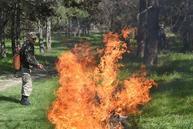 В Одеській області розслідують підпал території Нижньодністровського природного парку