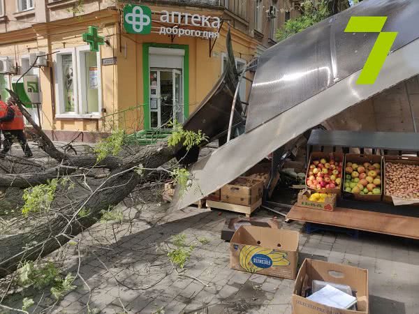 Деревопад в Одессе: раздавлен торговый киоск и поврежден автомобиль (фото)